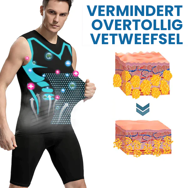 Ionisch Vormvest (Versie 2024)