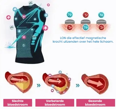 Ionisch vormend overhemd (Versie 2024)